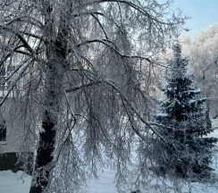 ЧЕТЫРЁХМЕСТНЫЙ НОМЕР -№8 - 2 этаж в Любава