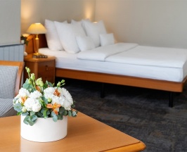 Премиум с видом на парк в Вознесенский