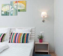 Номер стандарт улучшенный с 1 двуспальной кроватью в Loyal Guest House