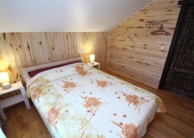 Комната стандарт с 1 двуспальной кроватью в Алтынъ