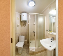 Номер полулюкс с 1 двуспальной кроватью в Рубин