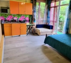 Апартаменты c 1 комнатой с балконом в Кристалл