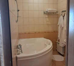 Номер люкс с 1 двуспальной кроватью в Шатура холл