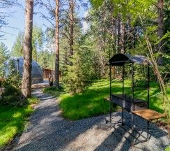 Купол «Петроглифы» в Aldi-Karelia