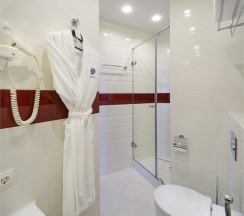 SUPERIOR "WINE" dbl в Hotel Design style