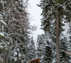 Двухместное шале Classic с красивым видом из окна двуспальная кровать в Forest house resort