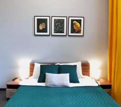 Комфорт + в Радость