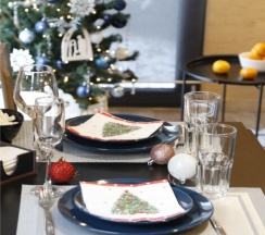 Смарт Студия в Вуокса-хутор