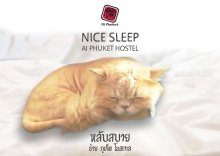 Двухместный номер Standard двуспальная кровать в Ai Phuket Hostel