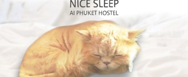 Кровать в общем номере в Ai Phuket Hostel