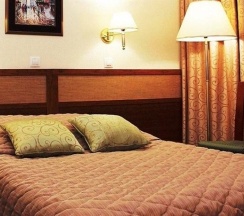 Гамма Бизнес класс (широкая кровать ) в Абсалют-Тур