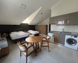 Трёхместный семейный номер Standard в Elit Otel