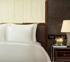 Двухместный номер Grand Deluxe с видом на город двуспальная кровать в The Ritz-Carlton Astana