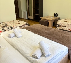 Стандартный семейный номер с 1 двуспальной и 2 односпальными кроватями в Невский