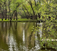 1-комнатные апартаменты люкс г. Троицк, ул. Прибрежная 17 в Дом у реки