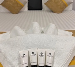 Двухместный номер Deluxe двуспальная кровать в Berich Hotel