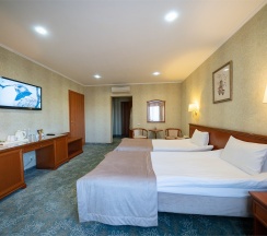 Deluxe Twin в Берёзка