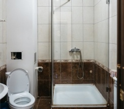 Комфорт 3-х местный в Milana