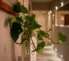 Двухместный номер Standard с балконом двуспальная кровать в In Trastevere house