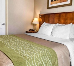 Двухместный номер Standard в Avion Inn Near LGA Airport, Ascend Hotel Collection