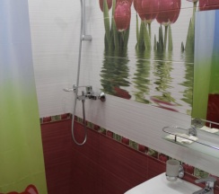 Двухместный номер Standard двуспальная кровать в Роз