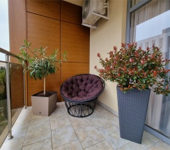 Стандарт в Svetlana District