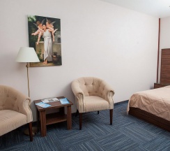 Номер полулюкс улучшенный с 1 двуспальной кроватью в Кремниевы термы