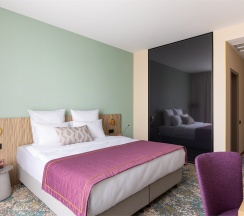 Стандарт Смарт в Berry Hotel&Spa 4*