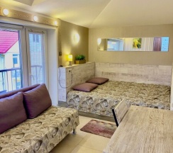 (31)Студия с мансардной крышей и террасой в Loft