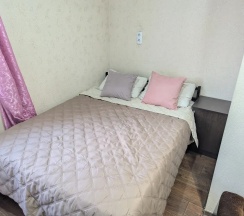 Двухместный люкс (А) в Центральный
