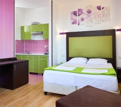 Стандарт ТВИН с балконом в Диса