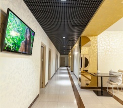 ЛЮКС 4-местный. Новый номерной фонд в MaxxRoyal