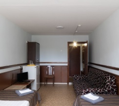 Стандарт с диваном в Ольшаники