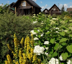 Семейные апартаменты с красивым видом из окна в Суздальский Дворик