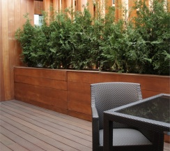 Terrace Studio в Barvikha hotel & SPA