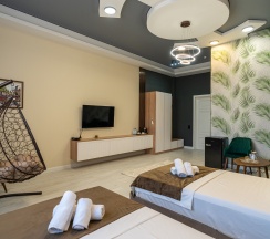 Стандарт deluxe в Pullman D | M