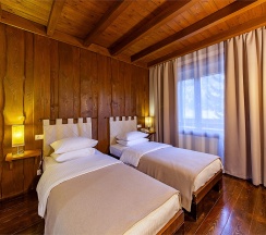 Стандартный двухместный  TWN ( с 2 раздельными кроватями) в Гладенькая