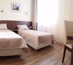 Двухместный номер в Аист