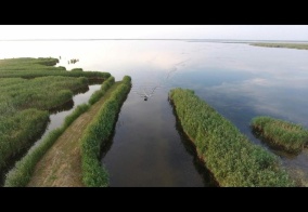 Турбаза Юность на Азовском море