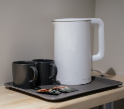 Эконом Двухместный в Гагарин