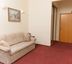 Двухместный семейный номер Comfort двуспальная кровать в Соната на Маяковского