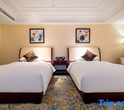 Двухместный номер Executive 2 отдельные кровати в Phoenix Hotel