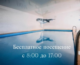 3-местный номер студия с 1 односпальной и 1 двуспальной кроватью в Крыжовник