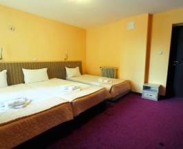 Трёхместный номер Standard в Hotel Alabin Central