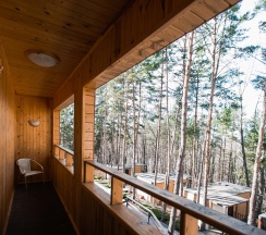 Номер Стандарт. Центральный корпус. Вид на бунгало в Донской Лес