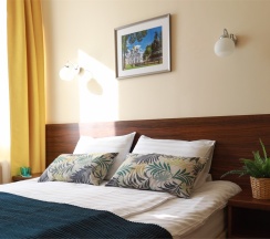 Двухместный номер комфорт в Аист