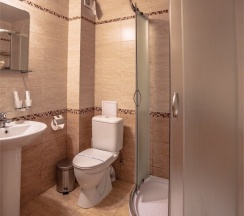 ДеЛюкс с одной 2-сп.кроватью в Green wood