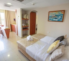 Люкс с видом на горы в Motel Aviv