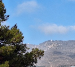 СТАНДАРТНЫЙ 13 ТРЕХМЕСТНЫЙ НОМЕР С ДВУМЕСТНОЙ КРОВАТЬЮ, ДИВАНОМ в Цитрус