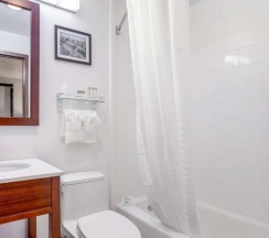 Четырёхместный номер Standard 2 отдельные кровати в Avion Inn Near LGA Airport, Ascend Hotel Collection